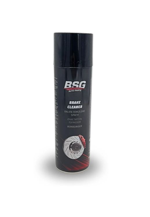STABDŽIŲ VALYMO SKYSTIS BSG 500ML