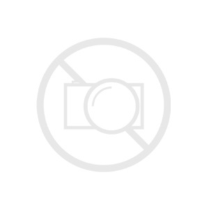 ALYVA REPSOL ELITE INJECTION 10W40 208L